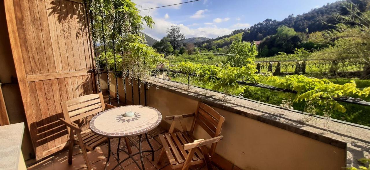 Ecohotel Rural Angiz Busturia Εξωτερικό φωτογραφία